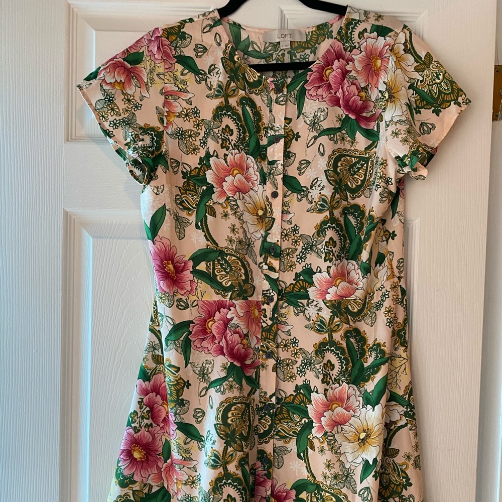 Floral paisley button front Dress from Loft
